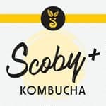 Scoby+ Kombucha